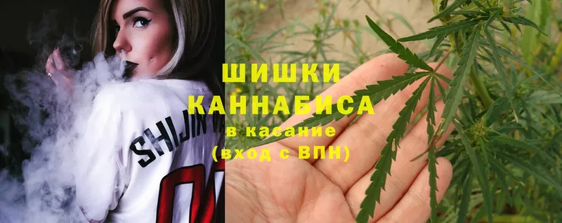 Бошки Шишки SATIVA & INDICA  дарнет шоп  Кинешма 